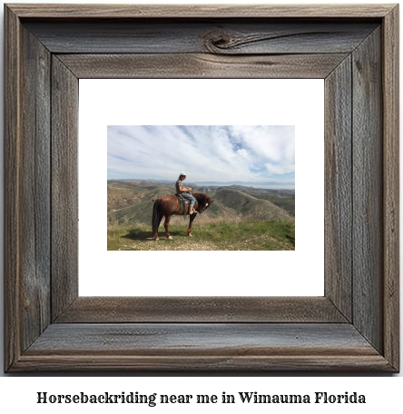 horseback riding near me in Wimauma, Florida